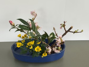桜1F